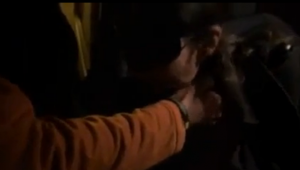 Une femme en resille est offerte dans un parking - Cuckold vidéo